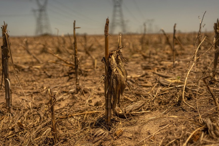 العالم يفقد الأراضي الزراعية بوتيرة متسارعة